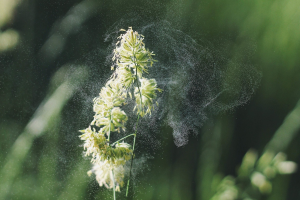 Read more about the article Molekule Review – The last Air filtration system you’ll need?