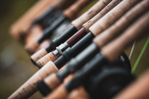 Read more about the article Relax in nature – Fly Fishing
