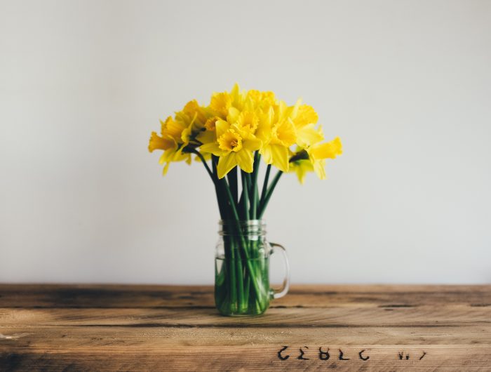 A bunch of Yellow Daffodils in a mason jar sitting on a butcher block top. Sustainable spring cleaning