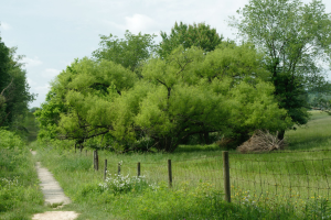 Read more about the article Tips for Eco-Friendly Travel