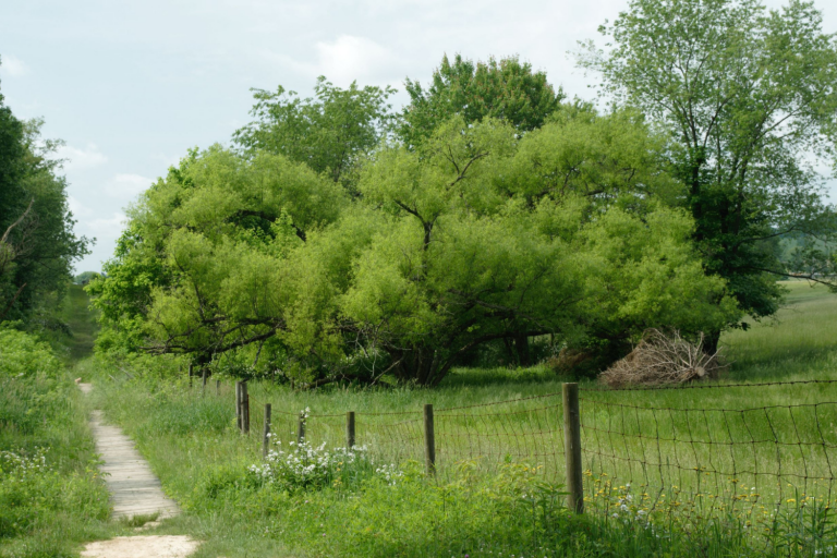 Tips for Eco-Friendly Travel