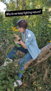 Ever notice how much energy we spend fighting nature?
We pull "weeds", mow down dandelions and wildflowers, spray pesticides, and then wonder why the pollinators are disappearing. 🤦🏼♀️
But here's the thing: Nature knows what it's doing. 
That dandelion in your year? It's breaking up compacted soil. (They're also super healthy for you!)
That clover? It's fixing nitrogen.
That wild patch in the corner?  It's a sanctuary for bees, butterflies, and birds.
Instead of fighting nature, what if we worked with it?
What if we let the "weeds" grow and watch the magic happen? 
Be honest - do you let weeds grow in your yard, or do you still pull them?  Let's chat ⏬
#rewildyouryard #permaculturegarden #noplanetb