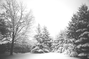 Read more about the article Tips for keeping those winter blues away