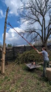 Making room for fruit trees and native plants!  Putting in some American Hazelnut Hybrids here in a couple days. 

Putting in another plum and cherry tree soon as well. 

Gotta do what you've gotta do, can't hire out everything 😎
