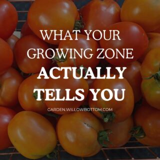 Your growing zone shapes every decision you make in the garden, from what you plant to when you plant it to what you can realistically expect to survive winter. 

Most gardening resources gloss over this, which is why so many gardeners feel like they're doing everything right and still not getting results.

Comment "ZONE' to find out which zone you live in and which plants grow best in your area.