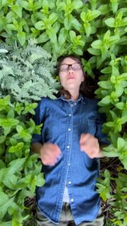 Everyone is terrified of mint. I'm here to tell you it's actually one of the most useful plants you can grow, and beginners especially should be planting it.
Drop a comment if you've ever been scared to plant it, or if you already love it and want to share what you use it for!
Learn more about mint: https://garden.willowbottom.com/plants/mint
mint in the garden, planting mint, beginner gardening tips, herb garden tips, mint ground cover, mint as mulch, growing mint, mint uses, pollinator plants, garden for beginners, homestead gardening, edible landscaping, growing herbs, mint plant care, natural pest repellent garden