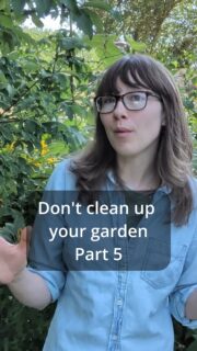 You don't have to choose between a healthy lawn and a wildlife-friendly garden.

Yes, a thick, wet layer of leaves can smother grass. But that doesn't mean every fallen leaf needs to go into a bag and leave your property.

You have two simple options:
Mulch the leaves into smaller pieces so they can return organic matter to the soil.
Move the leaves into garden beds, beneath trees, and around shrubs where they can become natural mulch and remain available to the insects that depend on leaf litter.

The goal isn't to leave a foot of leaves covering everything.
It's to stop thinking of leaves as waste that needs to be removed.
They're a resource. Put them where they can do the most good.

This is Part 5 of my Don't Clean Up Your Garden series.
Follow for Part 6, where we're getting into what happens when you do decide to cut things back.

DontCleanUpYourGarden, FallGarden, LeaveTheLeaves, WildlifeGarden, nativeplants, GardeningForWildlife, HealthyLawn, pollinatorgardens, EcologicalGardening, GardenTips