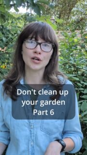 Wild doesn't have to mean neglected.
One of the biggest concerns people have about leaving a garden a little messier for wildlife is what the neighbors will think, and that's a fair consideration.
Ecological gardening doesn't mean letting your entire property become an overgrown jungle. You can have defined garden beds, paths and edges, and intentional groupings of native plants while still creating valuable habitat.
A garden can look cared for and support wildlife. You don't have to choose between the two.
Wild doesn't have to mean neglected.
This is Part 6 of my Don't Clean Up Your Garden series.
Follow for Part 7, where we're talking about what to do when it's finally time to cut things back.
DontCleanUpYourGarden, EcologicalGardening, WildlifeGarden, NativePlants, GardeningForWildlife, NativePlantGarden, WildlifeHabitat, pollinatorgardening, SustainableGardening, GardenDesign
