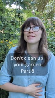 Maybe we've been grading our gardens on the wrong thing.

A garden can look beautifully "clean" in November and still be doing very little for wildlife.

Or it can look a little messy, with seed heads standing, stems left intact, and leaves covering the soil, while supporting insects, birds, soil life, and next year's growth.

And when spring arrives, we don't have to undo all of that in one weekend.

Instead, let spring be a gradual transition.

Wait until plants are actually beginning to grow. Work through the garden over several weeks. Leave some stems standing. Move leaves rather than hauling them away.

You won't get the timing perfect, and that's okay.

Because maybe the better question isn't "Does my garden look finished?"

Maybe it's: "What's alive in it?"

This is Part 8, the final part of my Don't Clean Up Your Garden series.

If this series has you looking at your garden a little differently, Garden by Willowbottom is where you can keep going. 

It's a place to plan, journal, track what's happening in your garden, and actually pay attention to the changes happening throughout the seasons.

Your garden has a lot to tell you. Garden by Willowbottom helps you keep track of it.

Link in bio.

DontCleanUpYourGarden, GardenByWillowbottom, WildlifeGarden, NativePlants, GardeningForWildlife, EcologicalGardening, GardenJournal, GardenPlanning, PollinatorGarden