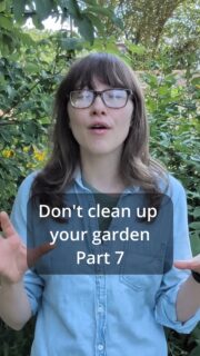 Okay, but what actually SHOULD come out of the garden?
"Don't clean up your garden" doesn't mean absolutely everything stays.
Diseased plant material can sometimes spread problems into the next growing season, so heavily diseased foliage may need to be removed.
And of course invasive plants should go as well!
Ecological gardening isn't about never touching your garden.
It's about being intentional about what you remove, what you leave, and why.
This is Part 7 of my Don't Clean Up Your Garden series.
Follow for Part 8, where we're bringing everything together.
DontCleanUpYourGarden, FallGarden, WildlifeGarden, NativePlants, GardeningForWildlife, EcologicalGardening, GardenTips, InvasivePlants, PlantDisease, PollinatorGarden
