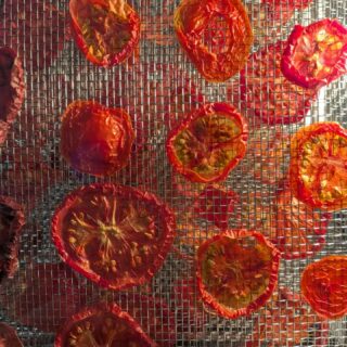 I have a few trays of tomatoes in the dehydrator right now, and these are going to become tomato powder. Once they’re completely dry, I’ll grind them up and store the powder in the pantry.
Then, whenever I need tomato paste for a pasta sauce or another recipe, I can just mix some of that powder with water and make exactly as much as I need.
Often when we think about preserving tomatoes we think of canning or freezing, and while I do both, I love preserving tomatoes with my dehydrator because a whole tray of tomatoes can eventually fit into such a small space. It’s a great way to save a big harvest and have it ready to use months later.
preserving the harvest, dehydrating, tomato season garden harvest, gardening, homesteading
