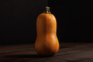 Read more about the article Growing Winter Squash in Your Garden