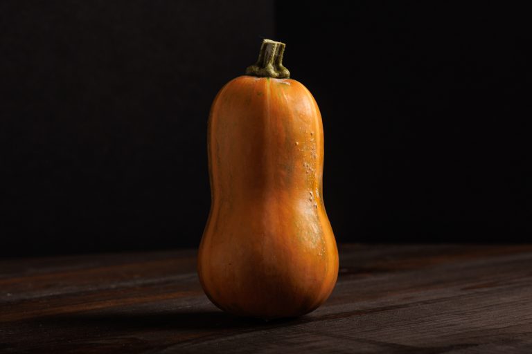 Growing Winter Squash in Your Garden