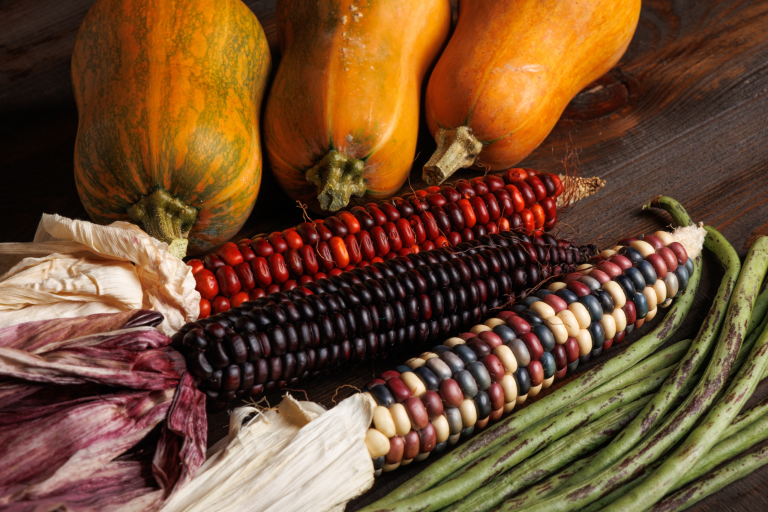 Three Sisters Gardening Method