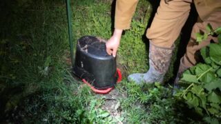 We are out covering tenders to protect them from the frost tonight and it'll be the same story tomorrow night. 

While we were out I noticed a couple of garlic mustard plants which are extremely invasive.  You want to make sure to pull these out immediately and dispose of them because they easily will create a monoculture because they produce a chemical in the soil that inhibits other plants from growing. 

They also produce hundreds of thousands of tiny seeds that will get everywhere and stay in your soil for 5 years.  So if you see them pull them out right away.
