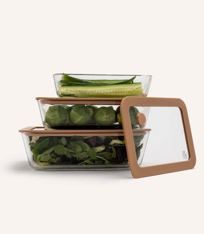 Seed and sprout food storage containers