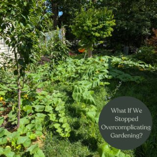 Why do we make gardening so complicated?
Raised beds, perfect rows, expensive soil, special fertilizers—when did growing food turn into a science project?
Our ancestors didn’t have garden centers. They just… planted things. 🌱
Instead of overcomplicating it, try this:
✔️ Throw down some seeds and see what happens
✔️ Skip the perfect rows—nature doesn’t grow in straight lines
✔️ Let plants work together (companion planting is a game-changer)
✔️ Mulch and forget it—seriously, nature does most of the work
Gardening should be fun, not stressful. Give yourself permission to experiment and learn as you go. 🌿
💬 Tell me—what’s the easiest thing you’ve ever grown? 
#SimpleGardening #RegenerativeFarming #GrowYourOwnFood