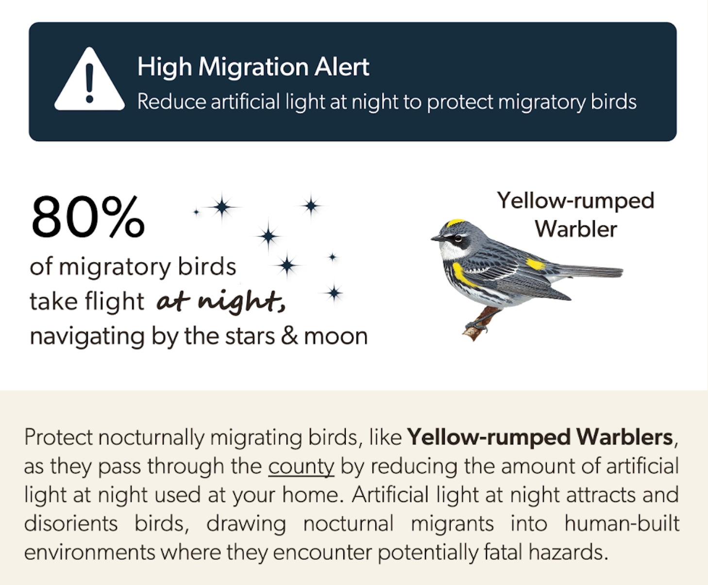 Here are some of the birds moving over right now, so turn off your lights at night!

This applies to much of the Great Lakes area and Midwest in general.

Yellow-rumped Warbler 
Palm Warbler
Black-and-white Warbler 
Nashville Warbler
Orange-crowned Warbler 
Pine Warbler
Black-throated Green Warbler 
Yellow Warbler
Blue-headed Vireo 
Yellow-throated Vireo 
White-eyed Vireo
Ruby-crowned Kinglet 
Golden-crowned Kinglet 
Blue-gray Gnatcatcher
Brown Creeper
Winter Wren
White-throated Sparrow 
White-crowned Sparrow 
Fox Sparrow
Savannah Sparrow 
Swamp Sparrow
Field Sparrow
Vesper Sparrow 
Hermit Thrush
American Robin 
Eastern Towhee
Yellow-bellied Sapsucker 
Northern Flicker
Blue-winged Teal 
Wood Duck
Gadwall
American Wigeon 
Lesser Scaup
Great Blue Heron 
Great Egret
Broad-winged Hawk 
Sharp-shinned Hawk
Cooper’s Hawk
Osprey
Greater Yellowlegs
Lesser Yellowlegs 
Solitary Sandpiper 
Pectoral Sandpiper 
Killdeer
Red-winged Blackbird 
Rusty Blackbird
Eastern Phoebe 
Song Sparrow