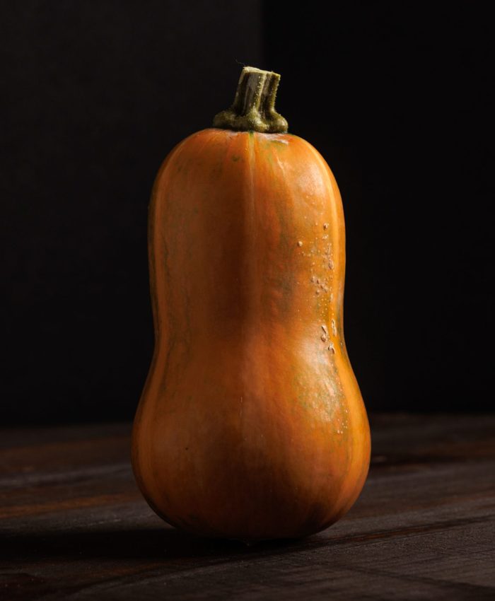 Growing Winter Squash in Your Garden