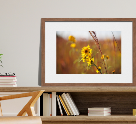 Untitled design (1) a framed photo of wild sunflowers sitting on a book shelf