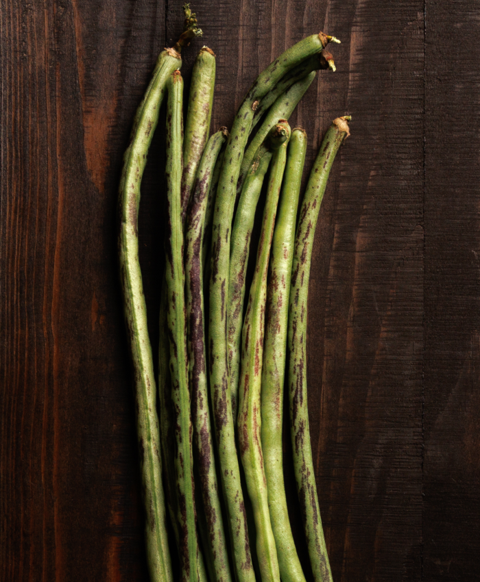A Guide to Growing Beans